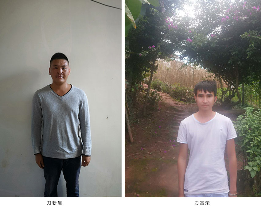 esball(中国区)官方网站